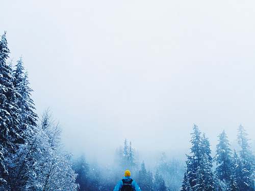 cleveland dam man wearing blue jacket beside pine trees during daytime canada
